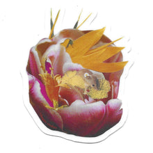 Load image into Gallery viewer, Sticker Pack
