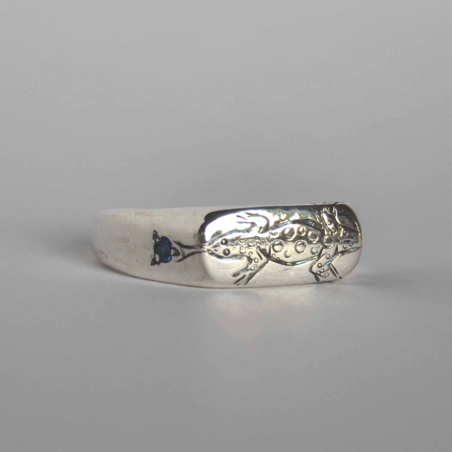 Sand Monitor Signet