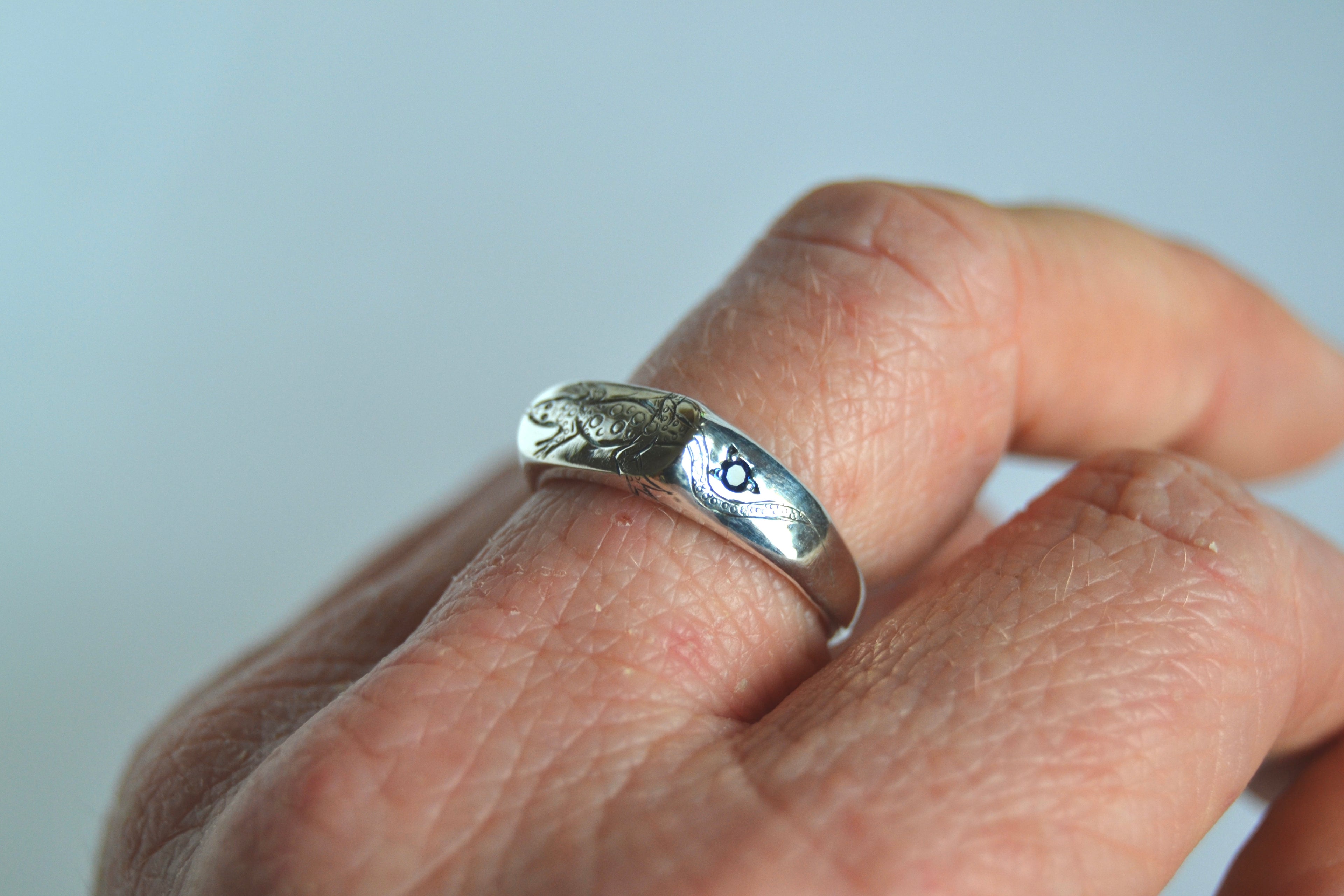 Sand Monitor Signet