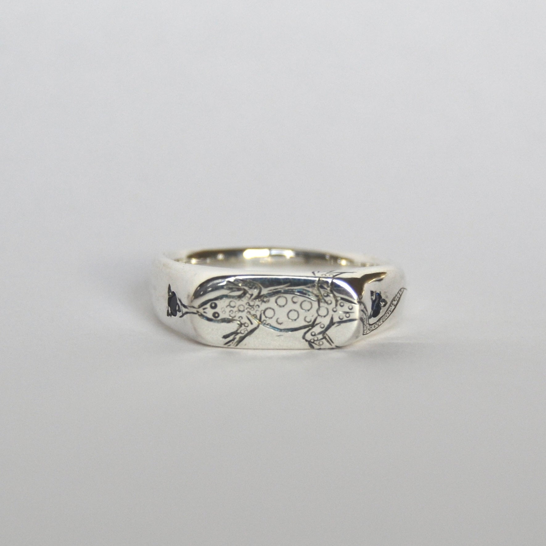 Sand Monitor Signet
