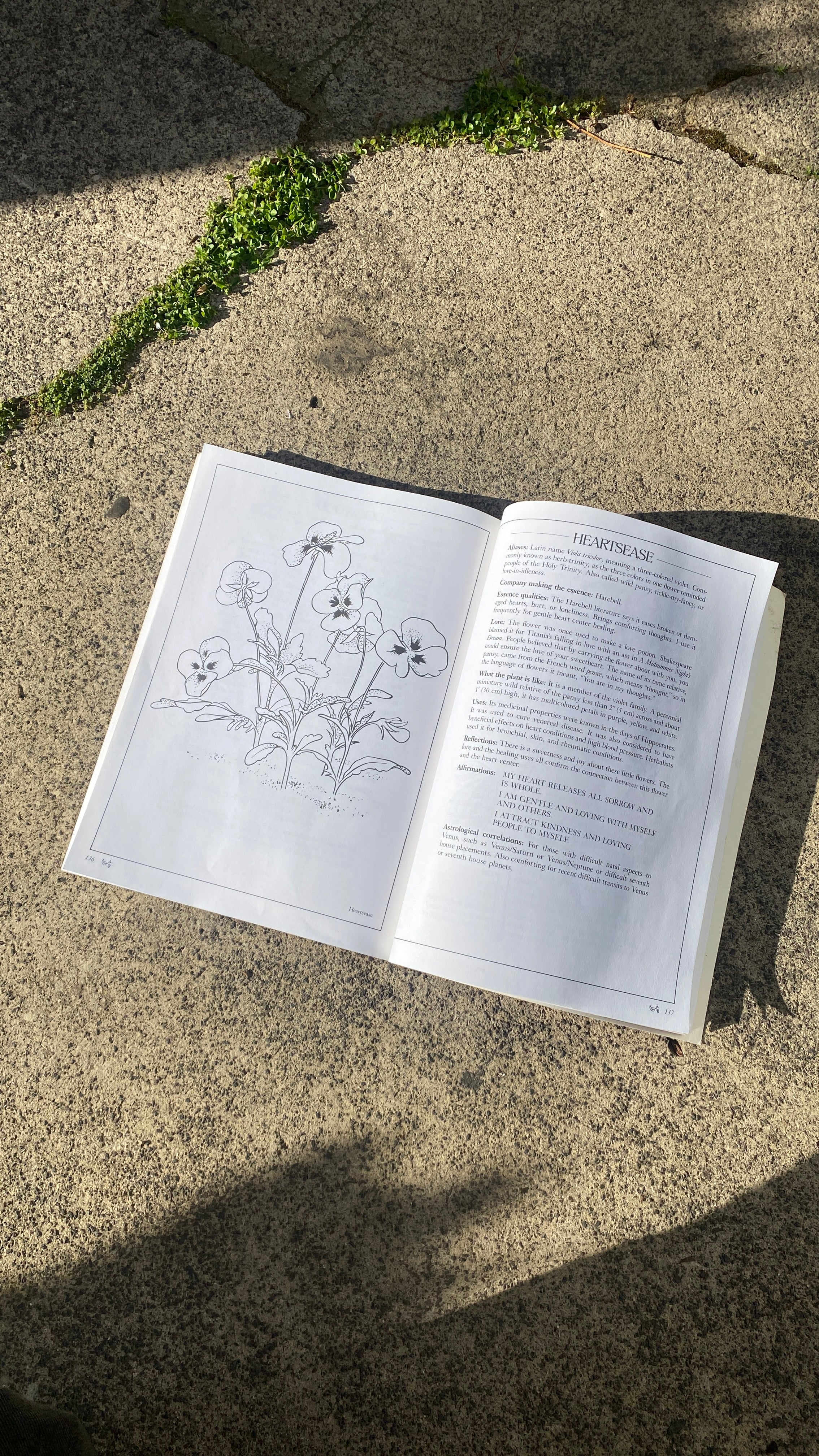 Pansy Engraved Signet Ring